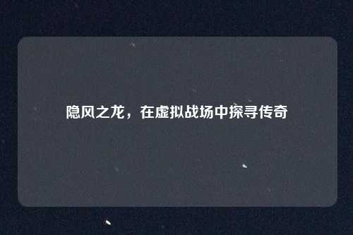 隐风之龙，在虚拟战场中探寻传奇