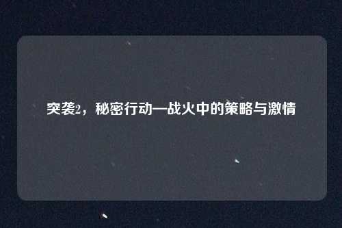 突袭2，秘密行动—战火中的策略与激情