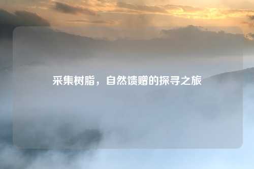 采集树脂，自然馈赠的探寻之旅