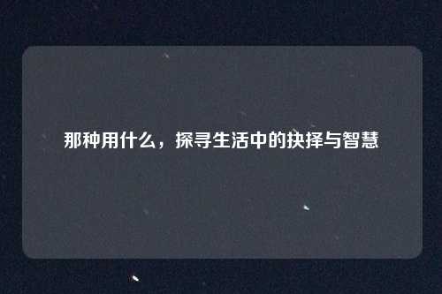 那种用什么，探寻生活中的抉择与智慧