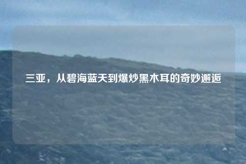 三亚，从碧海蓝天到爆炒黑木耳的奇妙邂逅