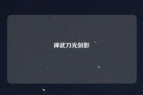 神武刀光剑影