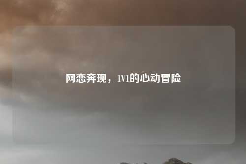 网恋奔现，1V1的心动冒险