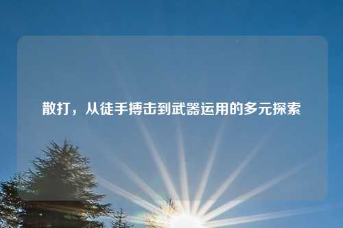 散打，从徒手搏击到武器运用的多元探索