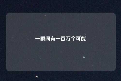 一瞬间有一百万个可能