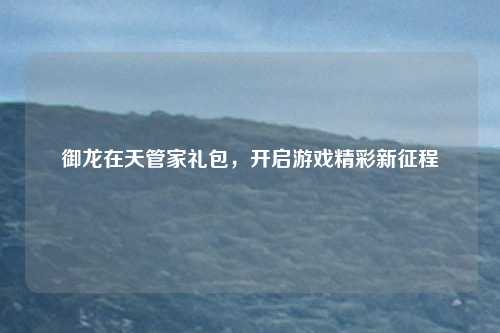 御龙在天管家礼包，开启游戏精彩新征程