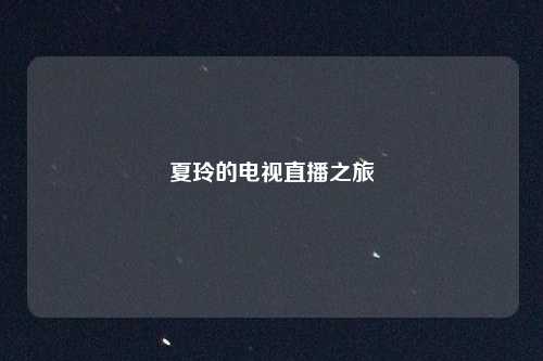 夏玲的电视直播之旅