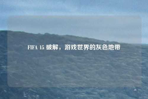 FIFA 15 破解，游戏世界的灰色地带