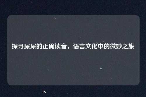 探寻尿尿的正确读音，语言文化中的微妙之旅