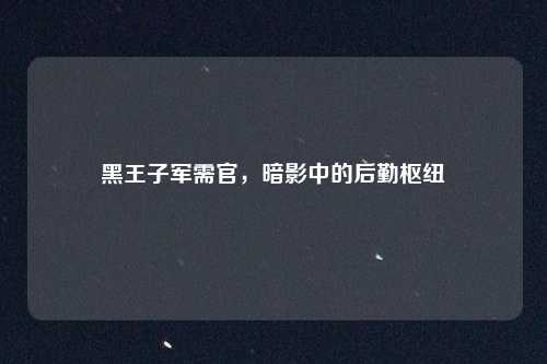 黑王子军需官，暗影中的后勤枢纽