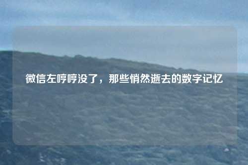微信左哼哼没了，那些悄然逝去的数字记忆