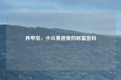 养甲虫，小众赛道里的财富密码