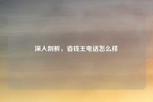 深入剖析，省钱王电话怎么样