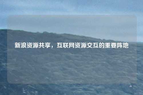 新浪资源共享，互联网资源交互的重要阵地