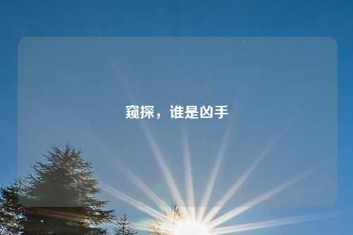 窥探，谁是凶手