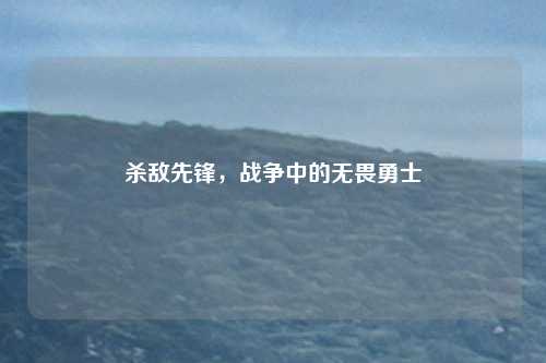 杀敌先锋，战争中的无畏勇士