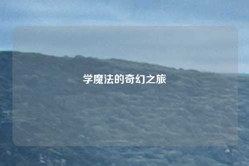 学魔法的奇幻之旅