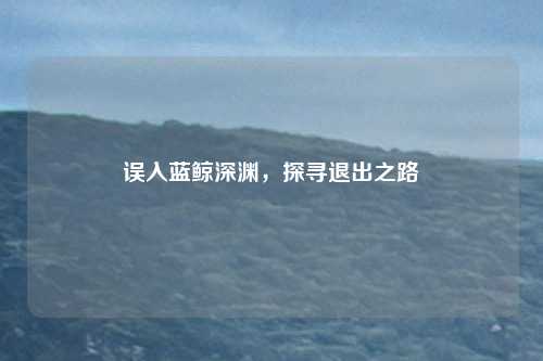 误入蓝鲸深渊，探寻退出之路