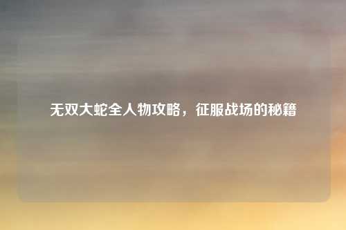 无双大蛇全人物攻略，征服战场的秘籍