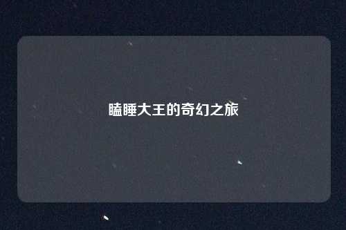 瞌睡大王的奇幻之旅