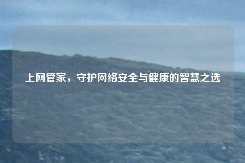 上网管家，守护网络安全与健康的智慧之选