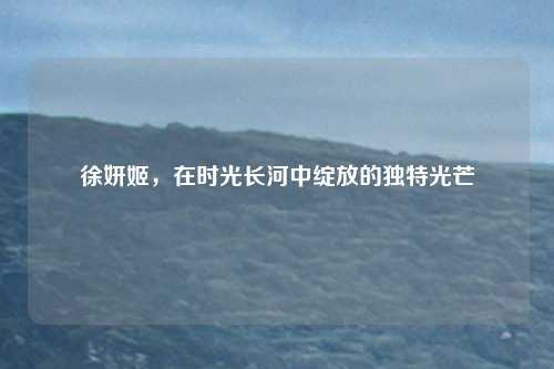 徐妍姬，在时光长河中绽放的独特光芒