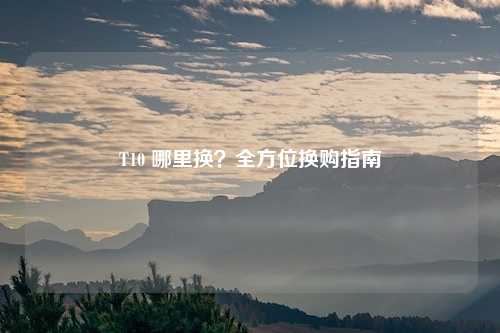 T10 哪里换？全方位换购指南