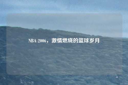 NBA 2006，激情燃烧的篮球岁月