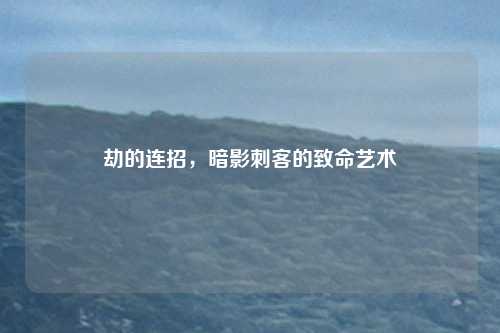 劫的连招，暗影刺客的致命艺术