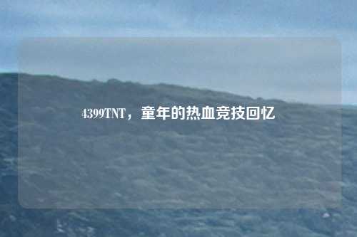4399TNT，童年的热血竞技回忆