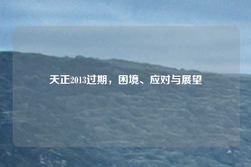 天正2013过期，困境、应对与展望