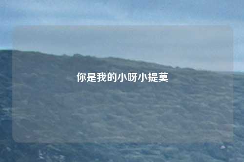 你是我的小呀小提莫