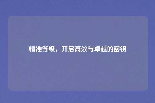 精准等级，开启高效与卓越的密钥