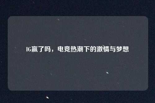 IG赢了吗，电竞热潮下的激情与梦想