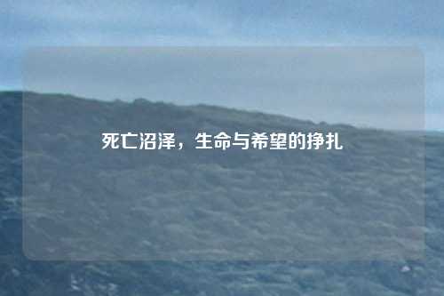 死亡沼泽，生命与希望的挣扎