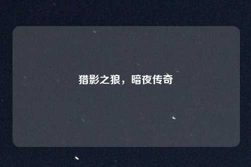 猎影之狼，暗夜传奇