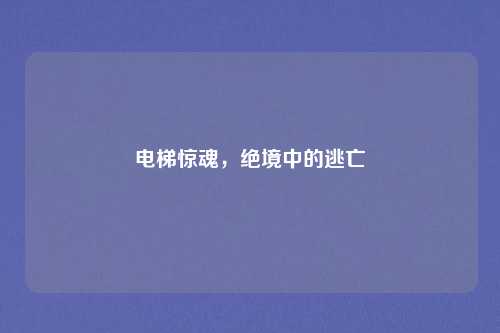 电梯惊魂，绝境中的逃亡
