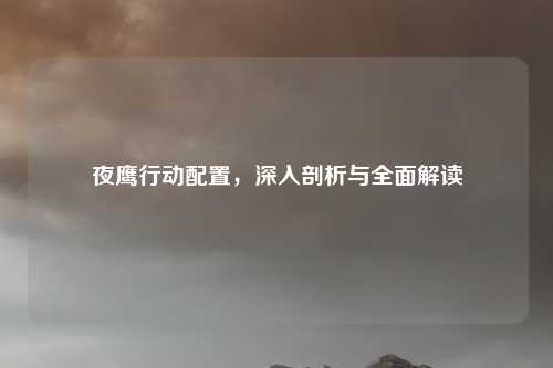 夜鹰行动配置，深入剖析与全面解读