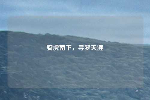 骑虎南下，寻梦天涯