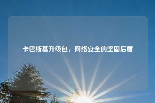 卡巴斯基升级包，网络安全的坚固后盾