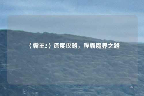 〈霸王2〉深度攻略，称霸魔界之路