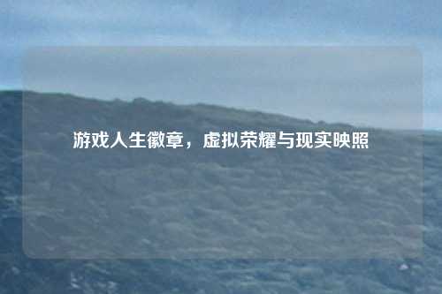 游戏人生徽章，虚拟荣耀与现实映照