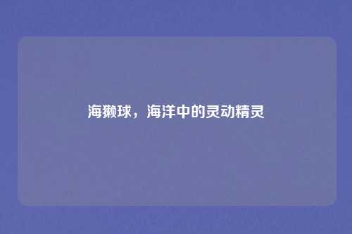 海獭球，海洋中的灵动精灵