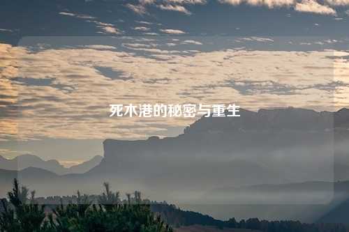 死木港的秘密与重生