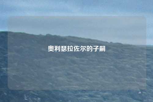 奥利瑟拉佐尔的子嗣