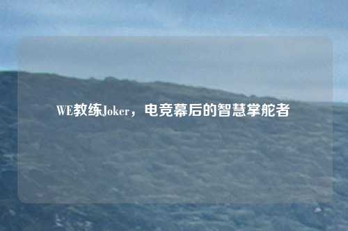 WE教练Joker，电竞幕后的智慧掌舵者