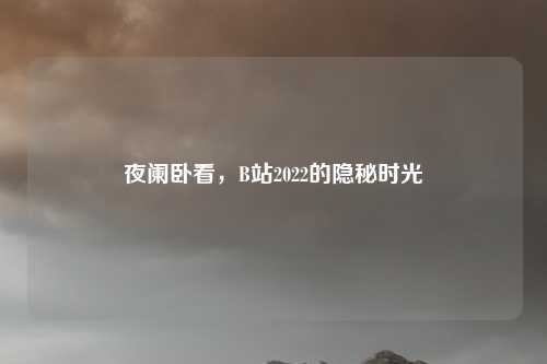 夜阑卧看，B站2022的隐秘时光