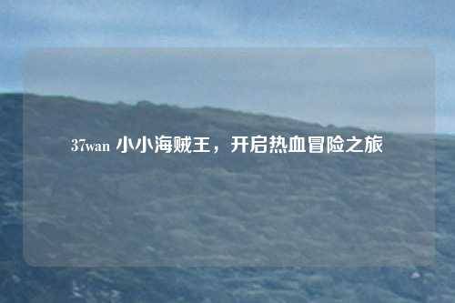 37wan 小小海贼王，开启热血冒险之旅