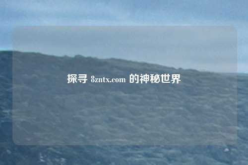 探寻 8zntx.com 的神秘世界