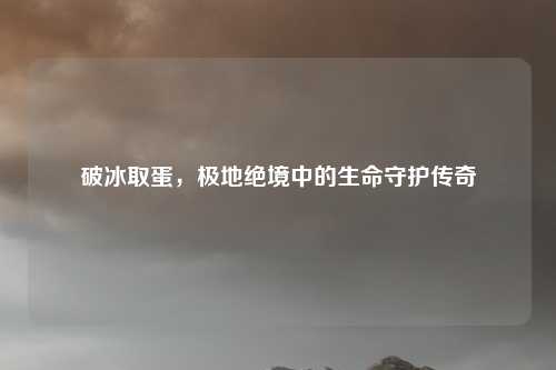 破冰取蛋，极地绝境中的生命守护传奇